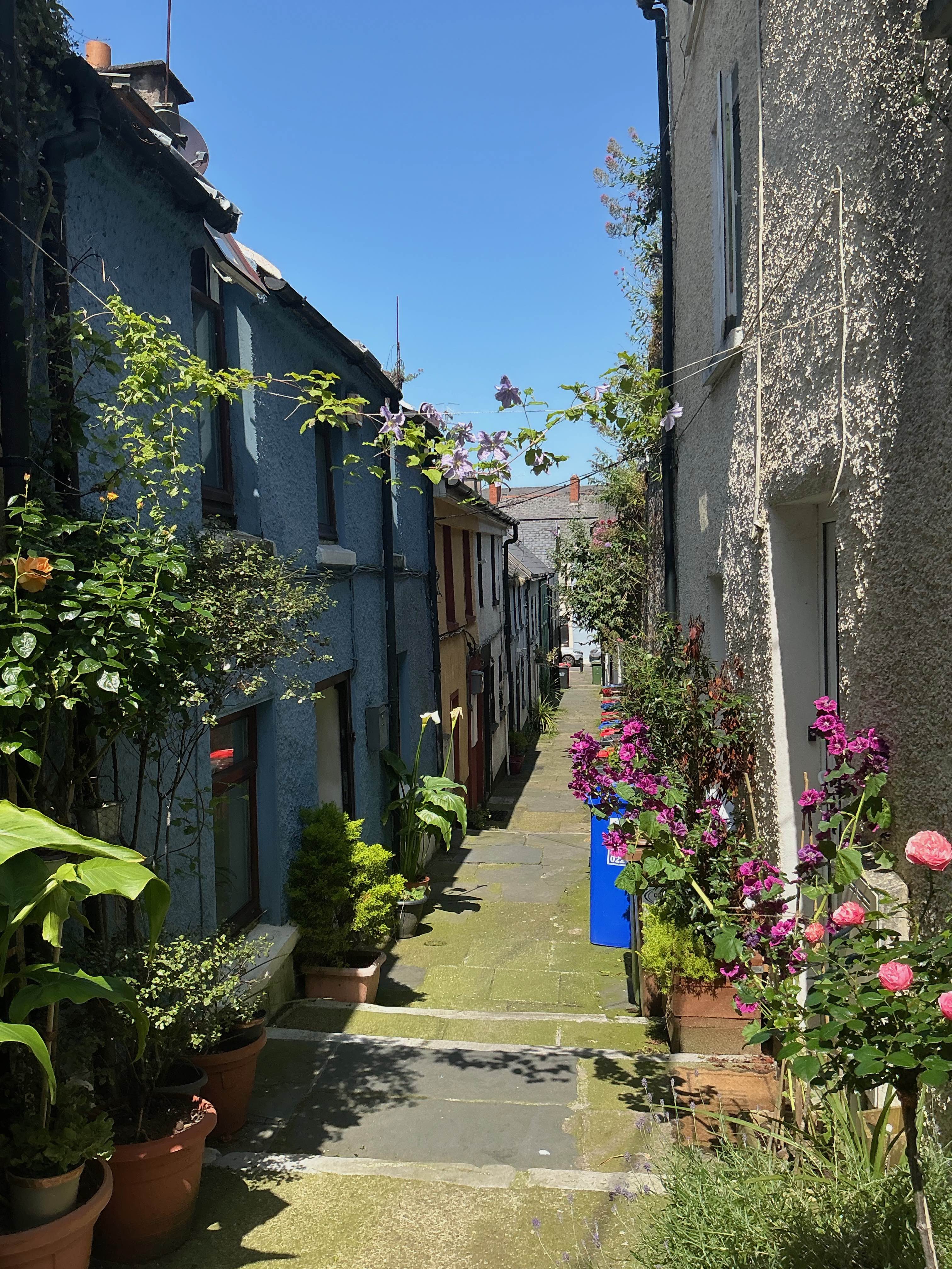 Virtual and Non-Virtual Nature in Cork City